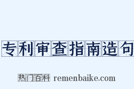 专利审查指南造句是什么意思的图片
